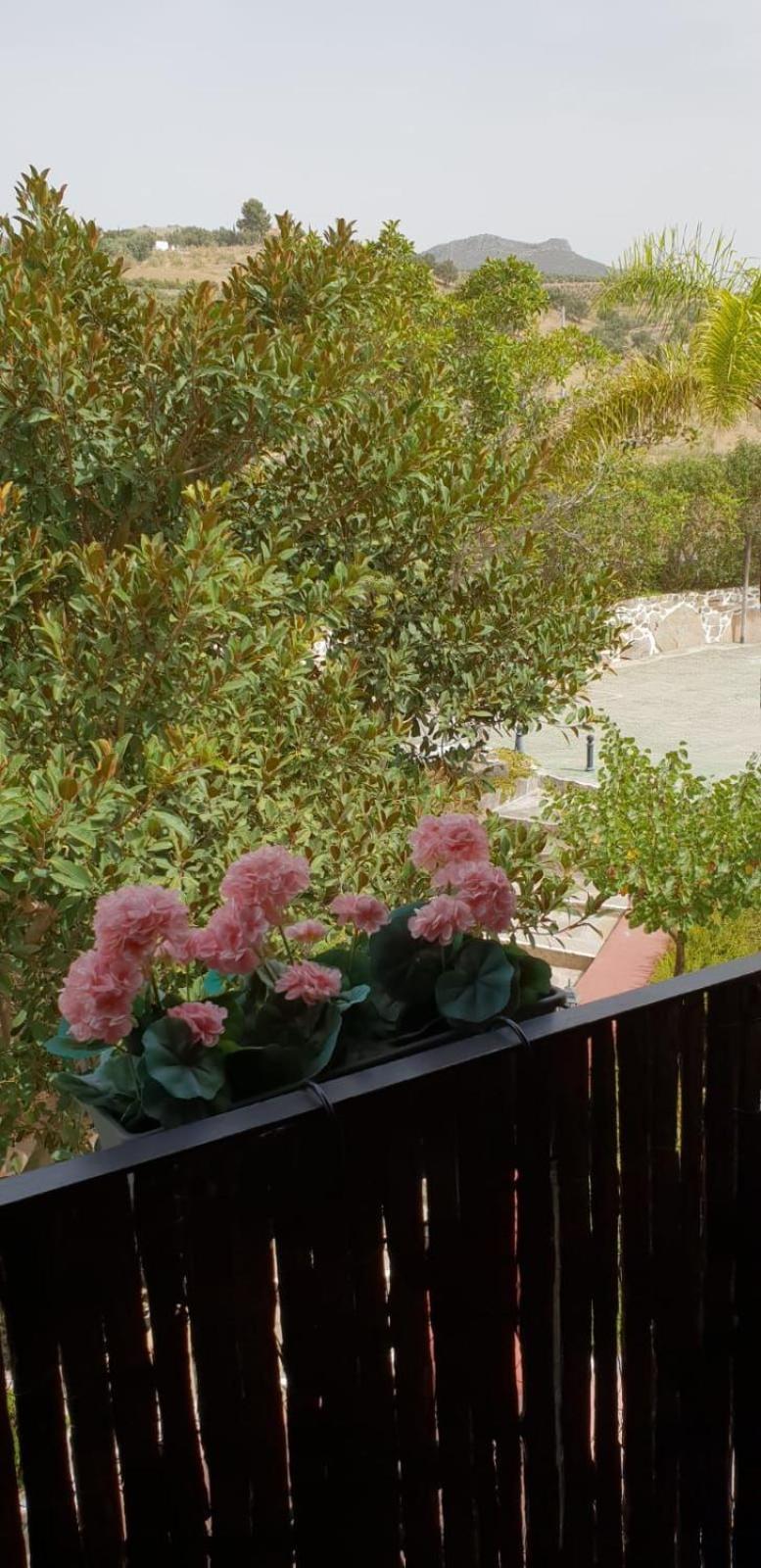Hotel Cortijo De Salia Alcaucín Δωμάτιο φωτογραφία